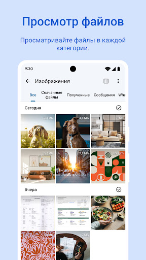 Google Files